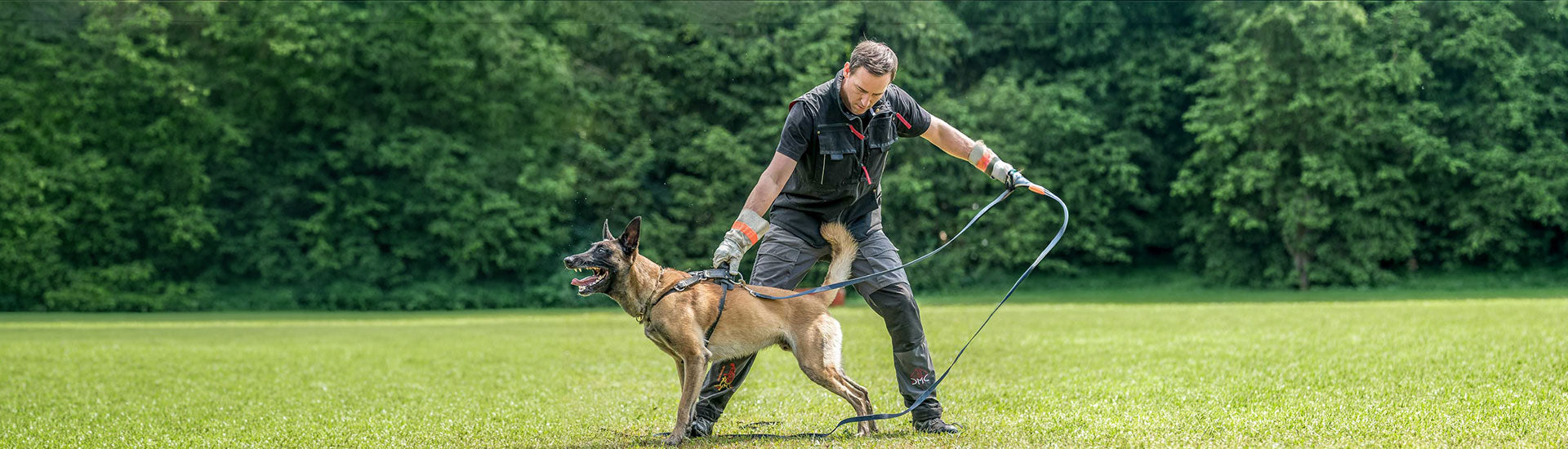 Hundesportweste