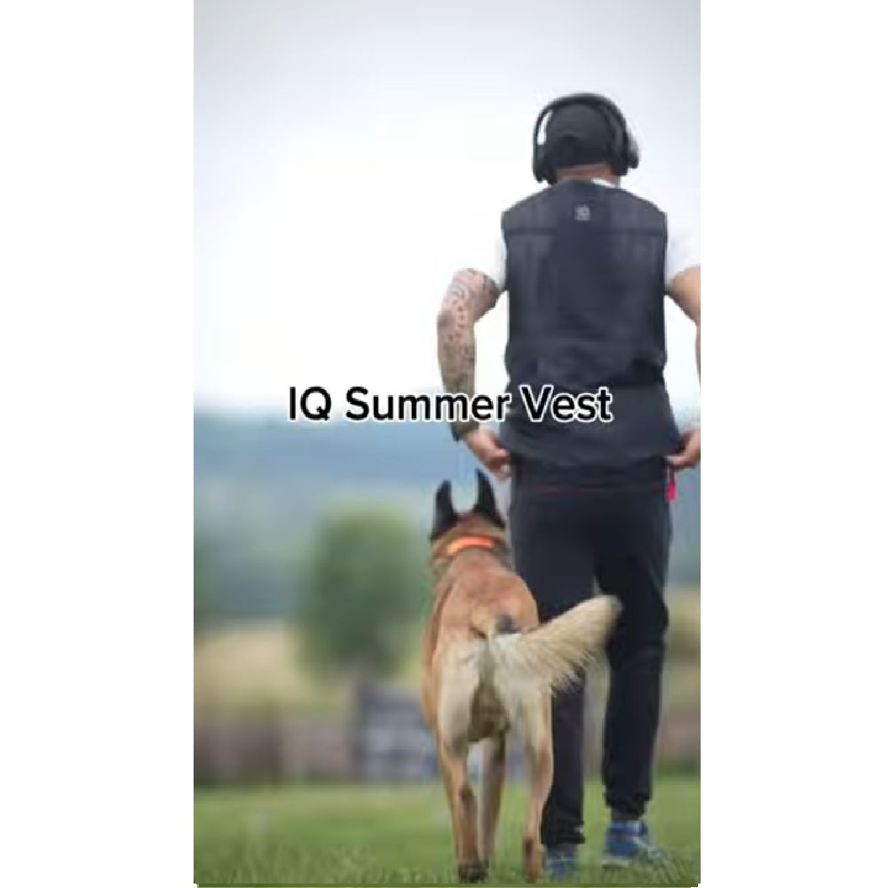 Load video: Hundeführer mit der IQ Sommerweste und Magnettasche
