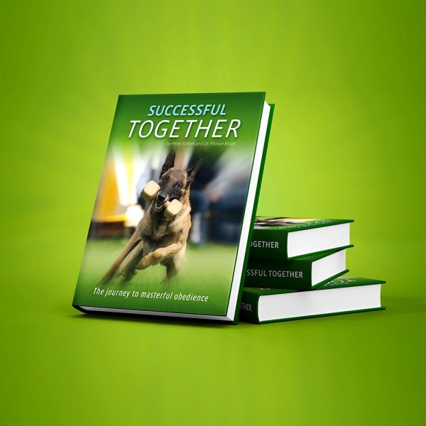 Book - Successful Together (English Version)