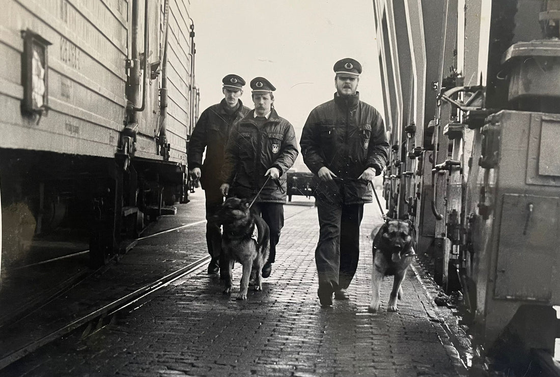 08557846-b8b7-43c9-9a8c-61d6012e9eeb