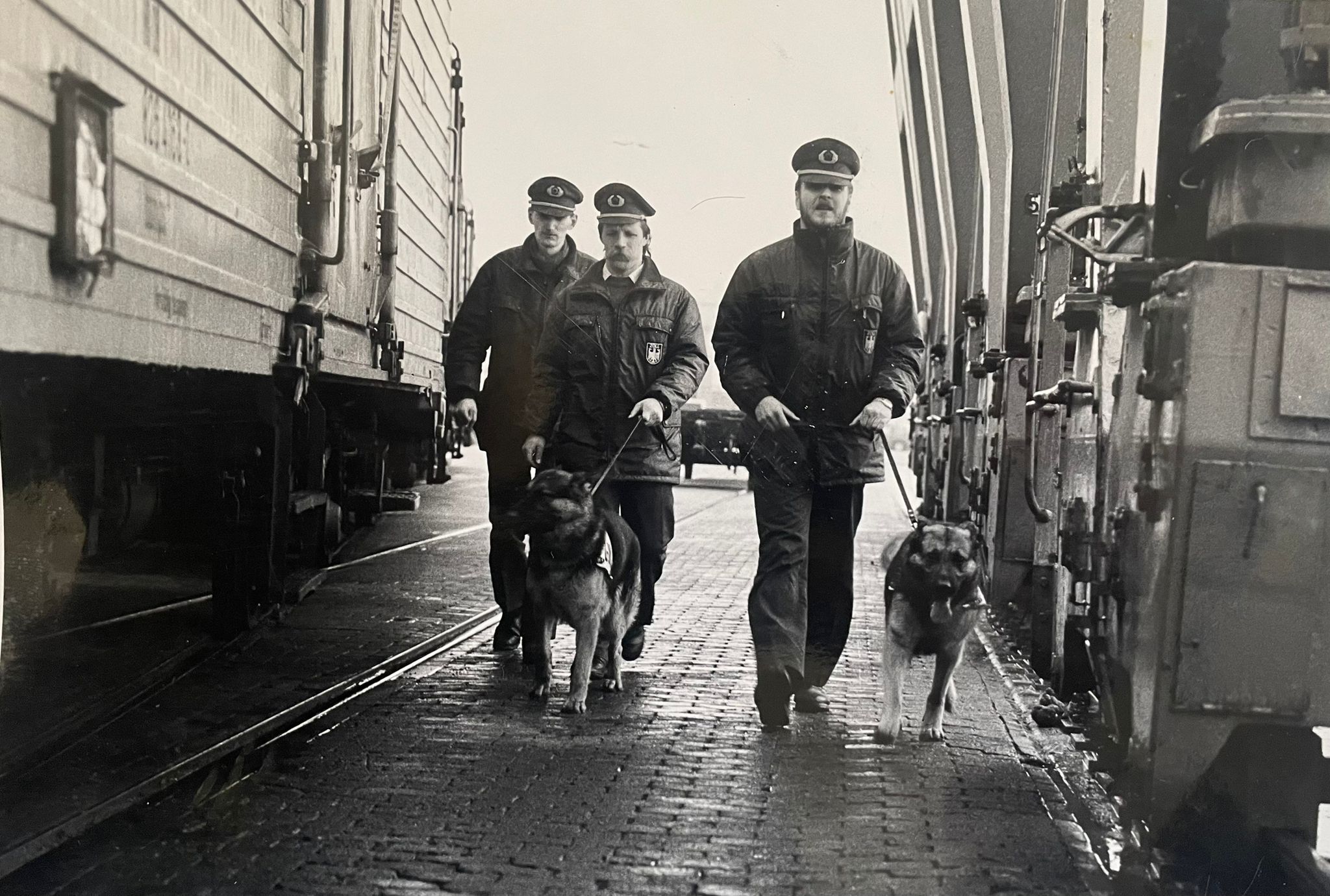 08557846-b8b7-43c9-9a8c-61d6012e9eeb