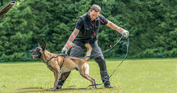 Hundesportbekleidung für Training & Einsatz