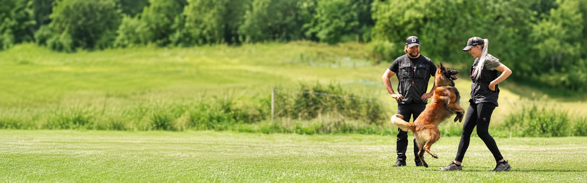 Zwei Hundeführer mit IQ Hundesportwesten und einem Hund beim Training auf einer Wiese.