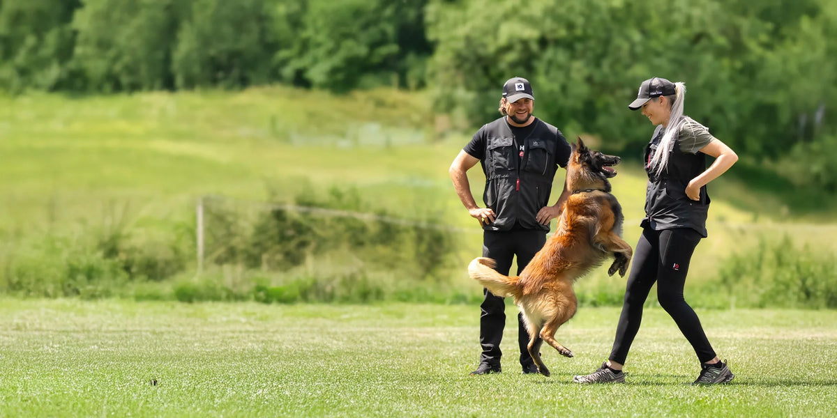 Marko und Kate in IQ Sommerwesten mit springendem Hund