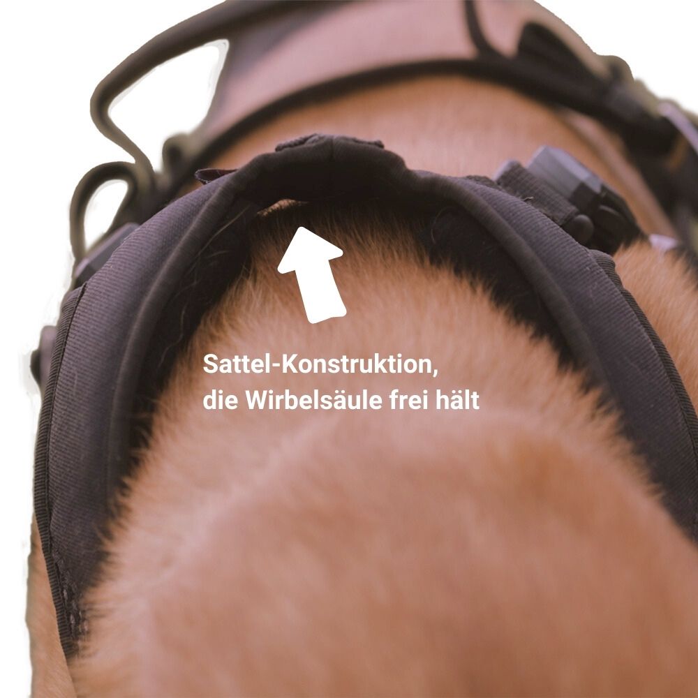 Geschirr-Sattel-deutsch