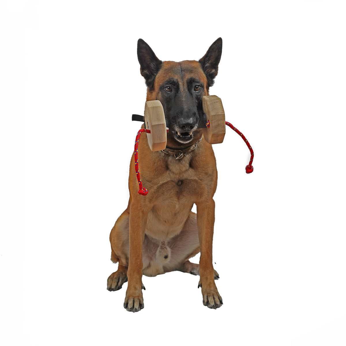 Cafka mit IQ Apportierholz