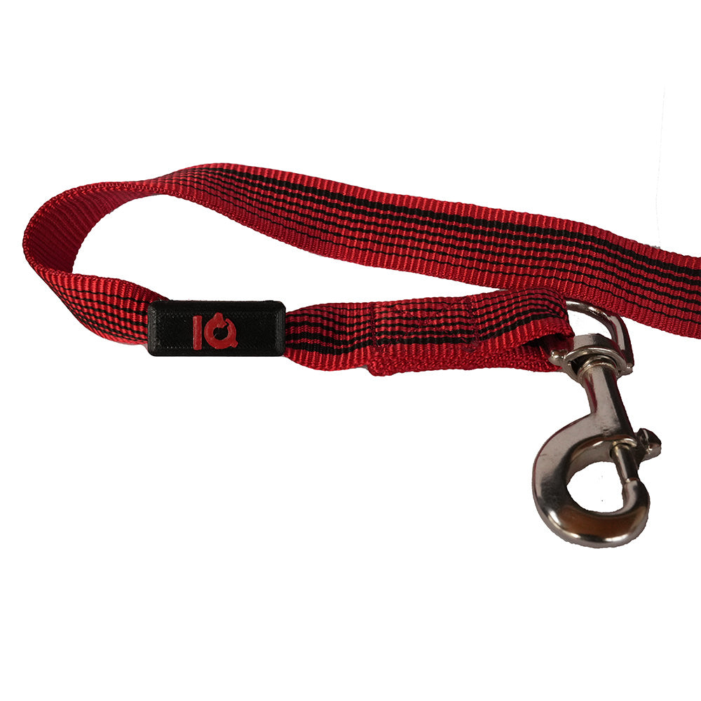 IQ Magnetizer - an Leine befestigt 