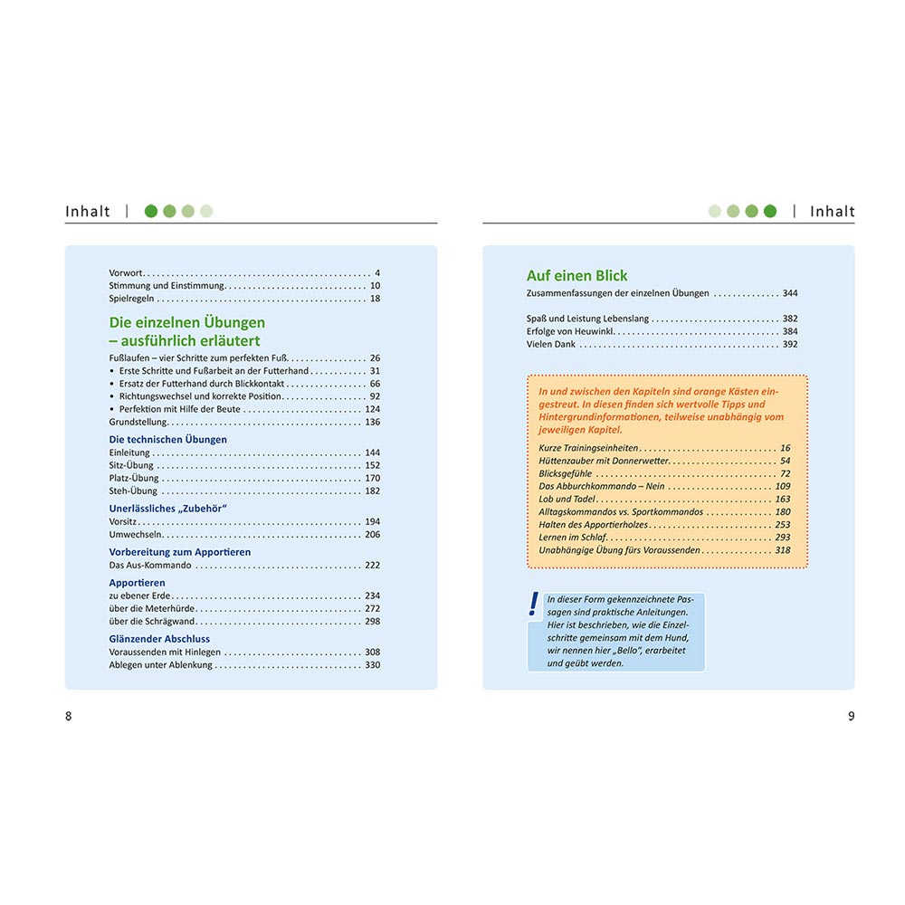 Leseprobe - Buch Gemeinsam erfolgreich (Scherk und Knabl)
