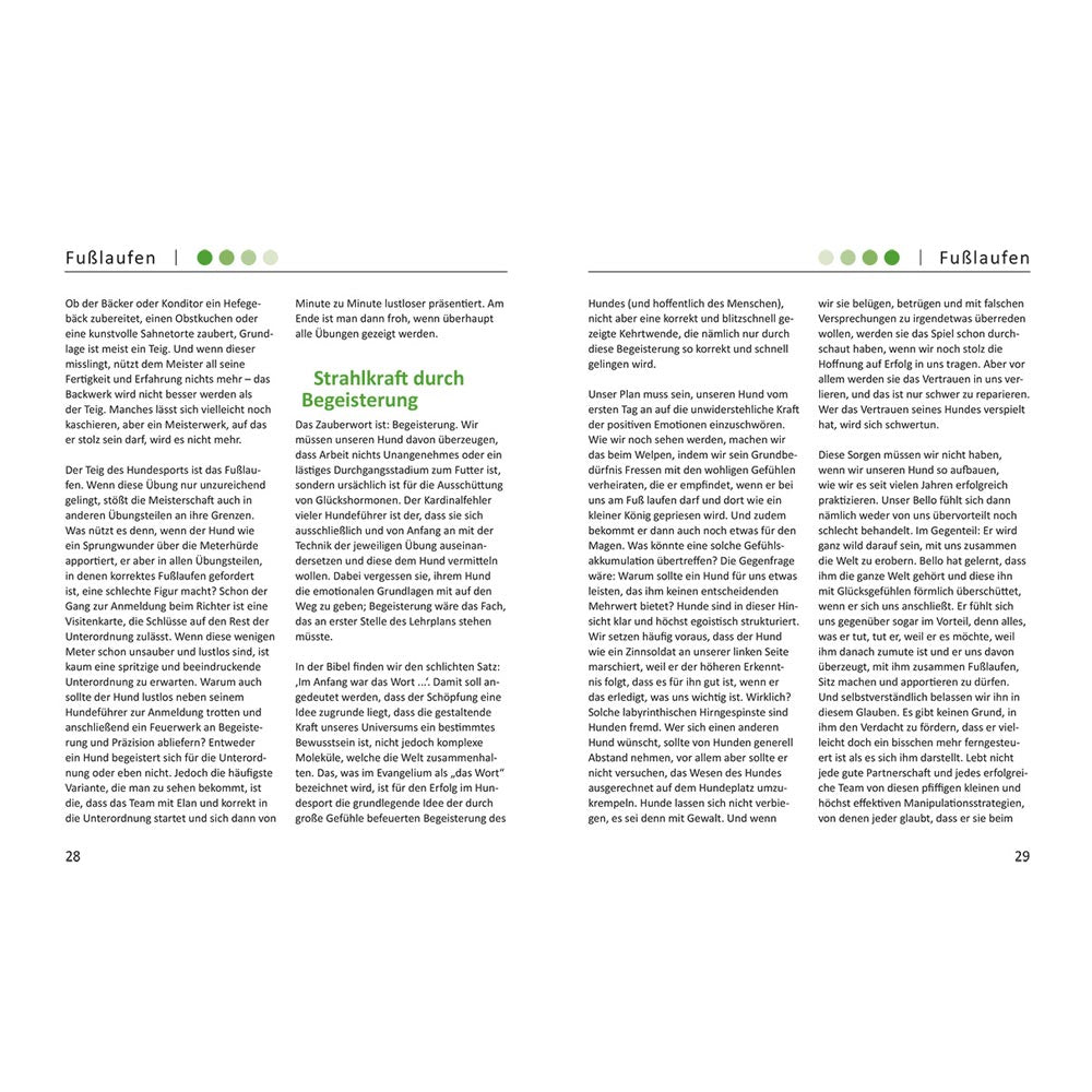 Leseprobe - Buch Gemeinsam erfolgreich (P. Scherk und F. Knabl)