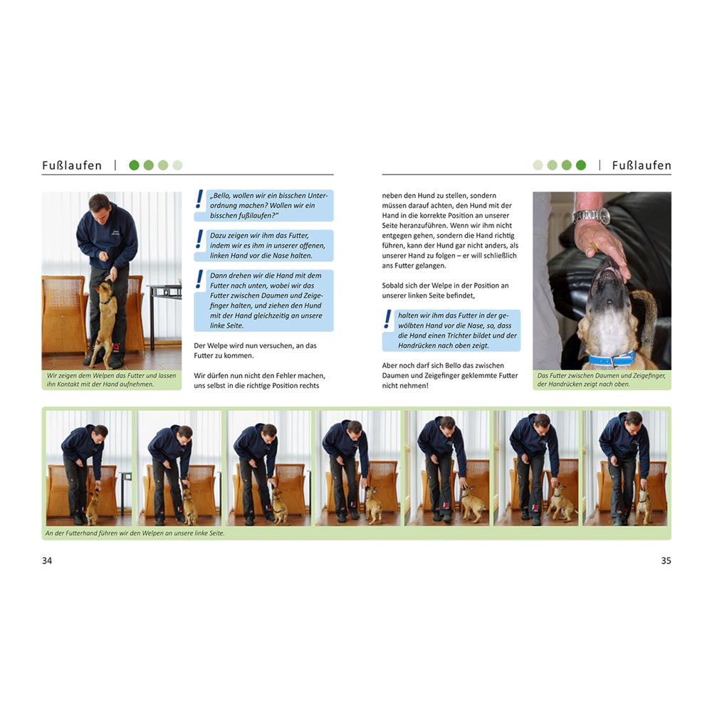 Leseprobe - Buch Gemeinsam erfolgreich, illustriert mit vielen Bildern