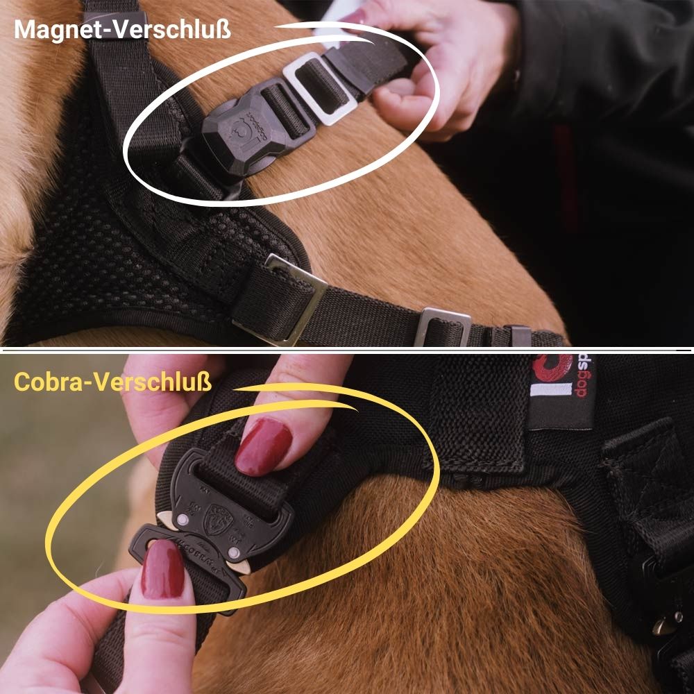 Magnet-und-Cobra-beschriftet