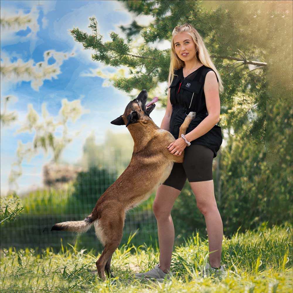 IQ Sommerweste 3.0 – Hundesportweste für warme Tage