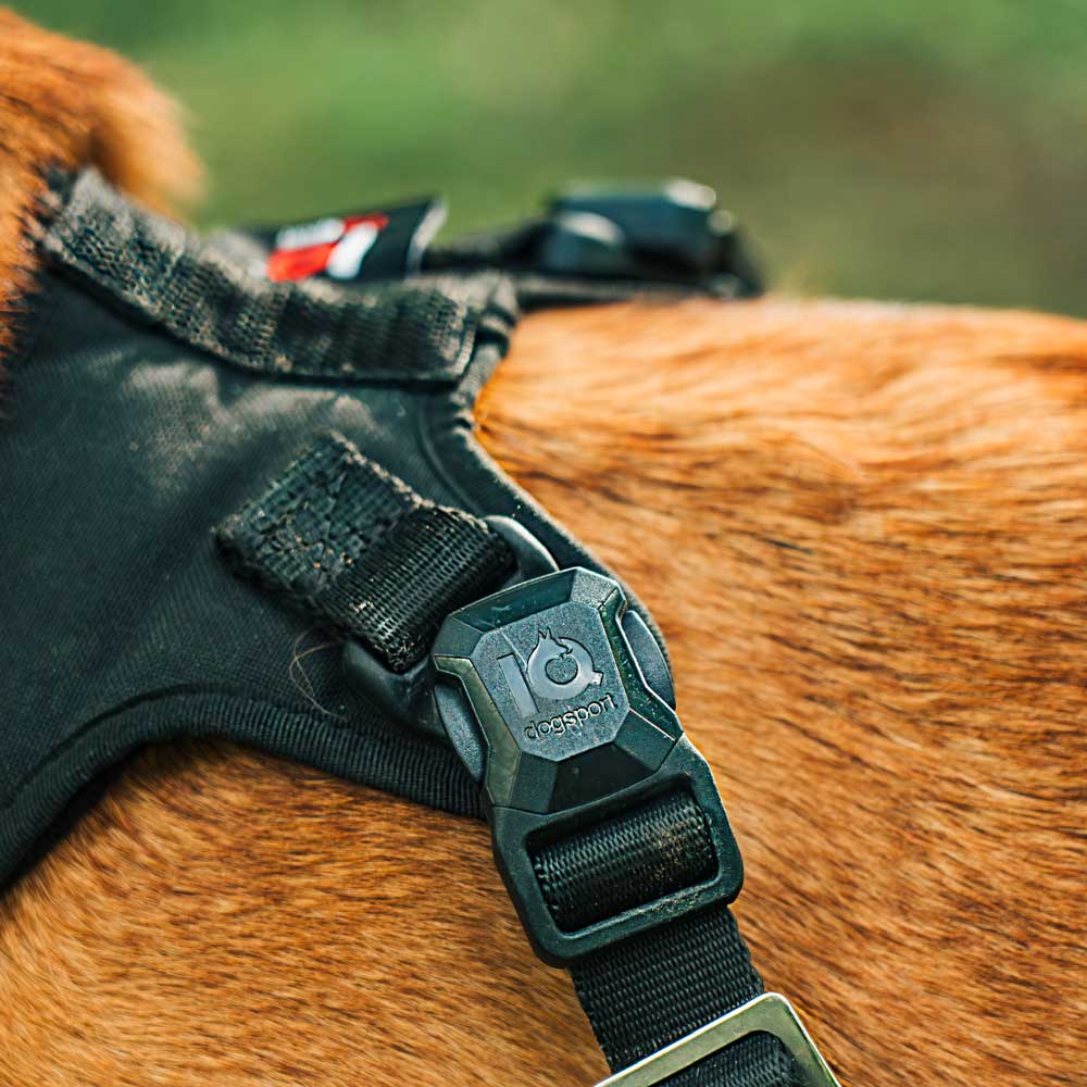 Detailansicht des Click & Go Auto-Lock-Verschlusses am Hundesport-Geschirr