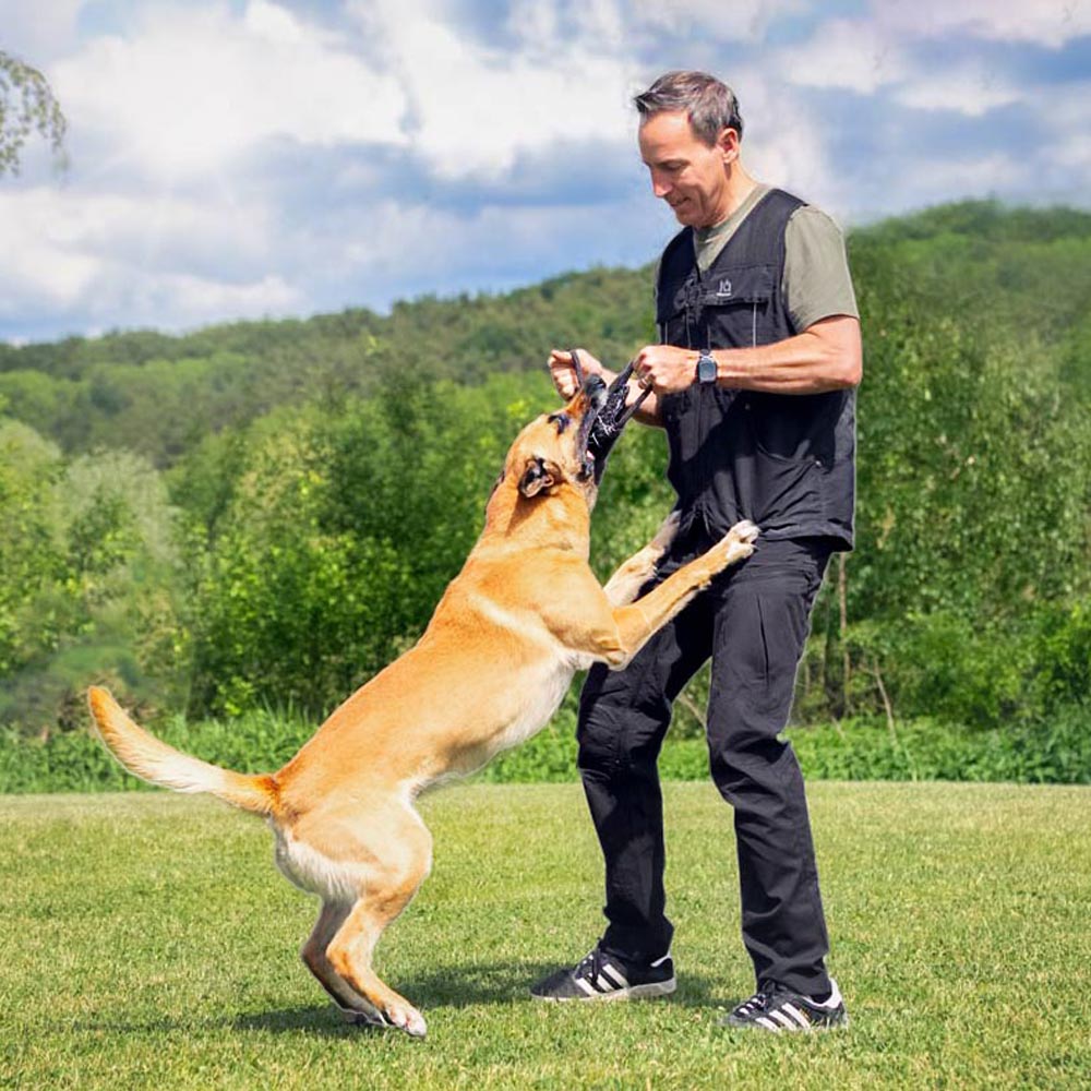 IQ Sommerweste 3.0 – Hundesportweste für warme Tage