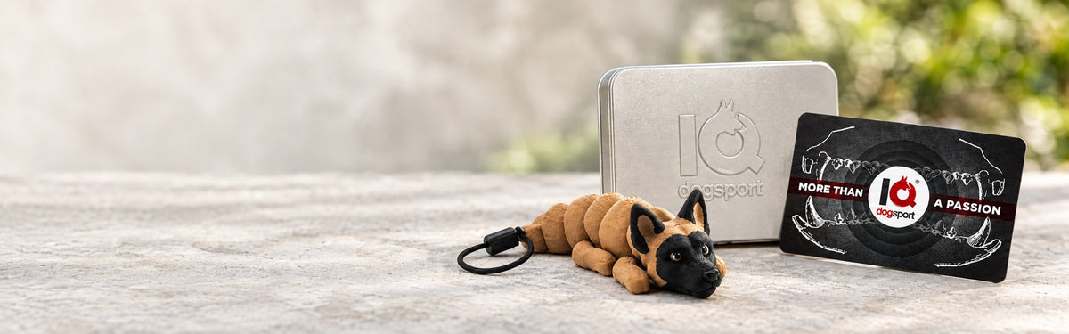 Silberne IQ Gutscheinbox mit Geschenkkarte und Malinois-Schlüsselanhänger.