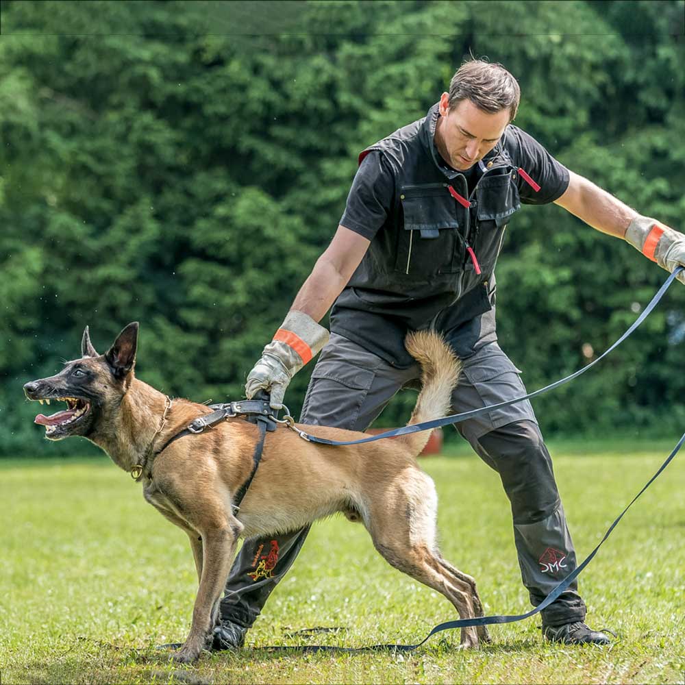 IQ Dogsport Vest 3.0 | Hidden Reward System