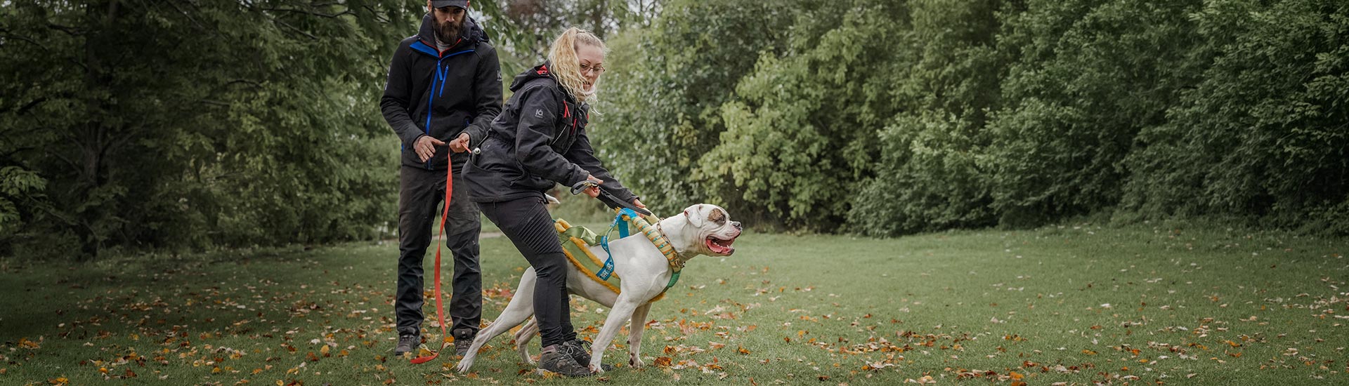 Dog Training Jackets for Women