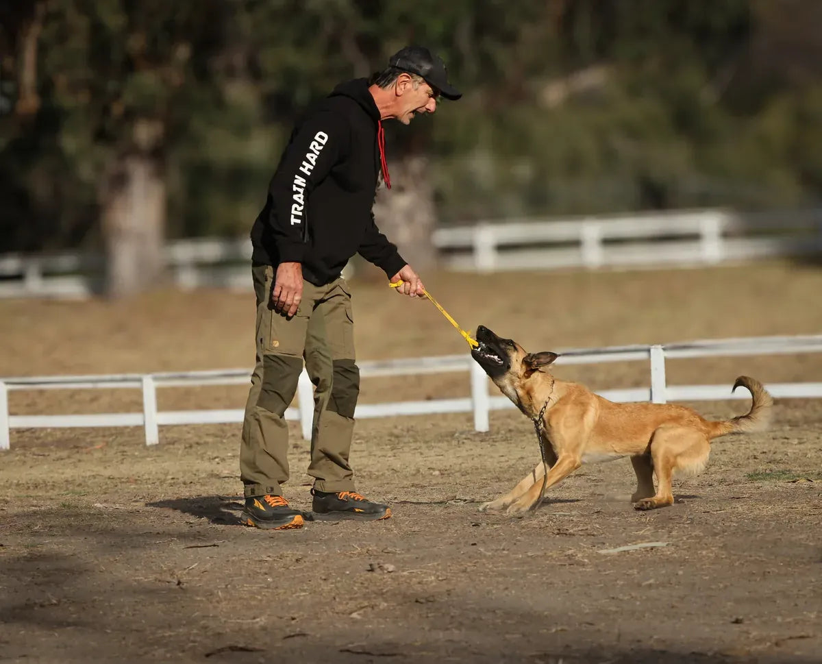 Mann im schwarzen IQ Hoodie spielt mit seinem Hund an einem Zerrspielzeug