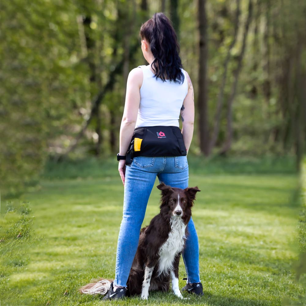 Handler wearing the IQ Multifunction Belt with a Border Collie