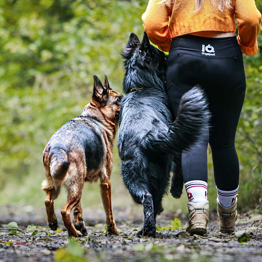 Frau in Hundesport Leggings spaziert mit zwei Schäferhunden