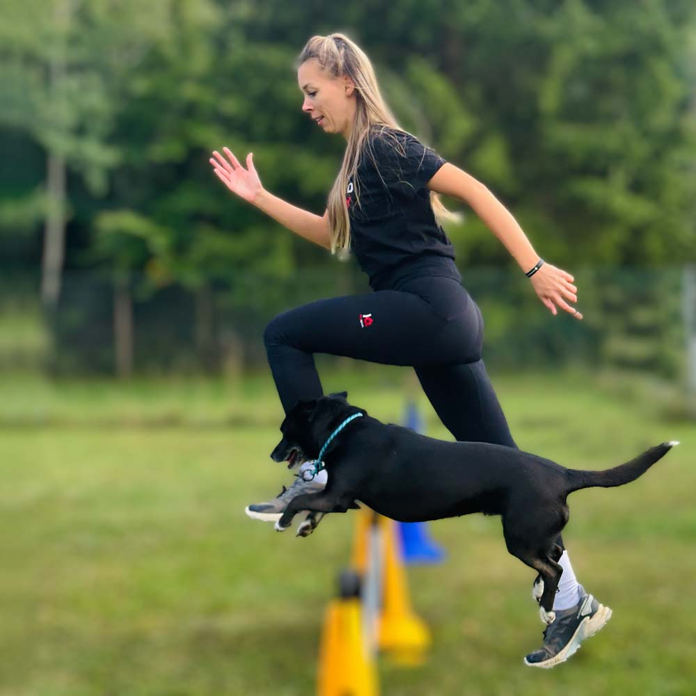 IQ Dogsport Hundesport Leggings beim THS Training