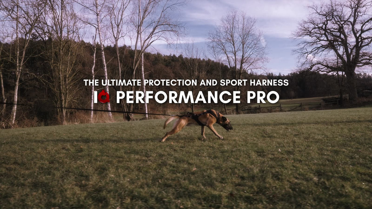 IQ Performance Pro