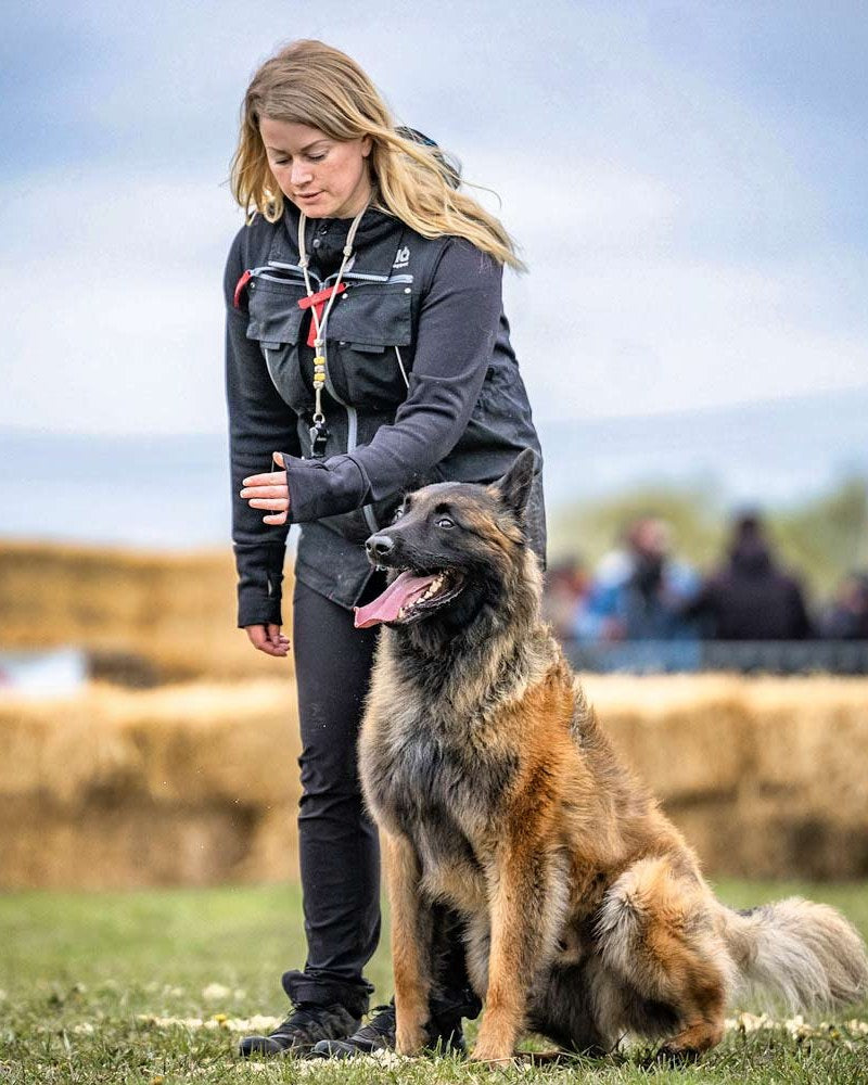 Hundeführerin mit regulärer IQ Hundesportweste und Schäferhund