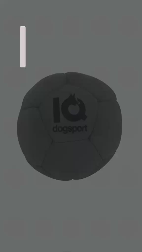 Load video: IQ Softball aus Neopren - ideale Bestätigung für Apportiertraining und Junghunde