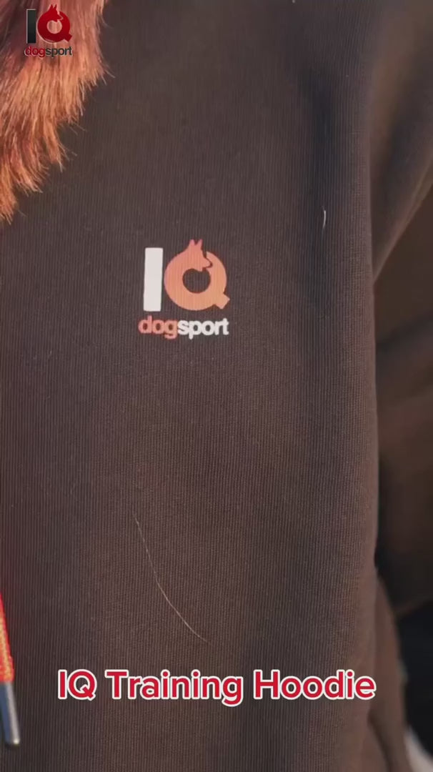 Load video: IQ Training Hoodie "Train hard" Unisex black