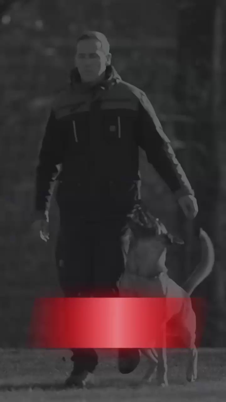 Video laden: Video: IQ Multifunktionsjacke 3.0 Oliv im Hundesport-Training