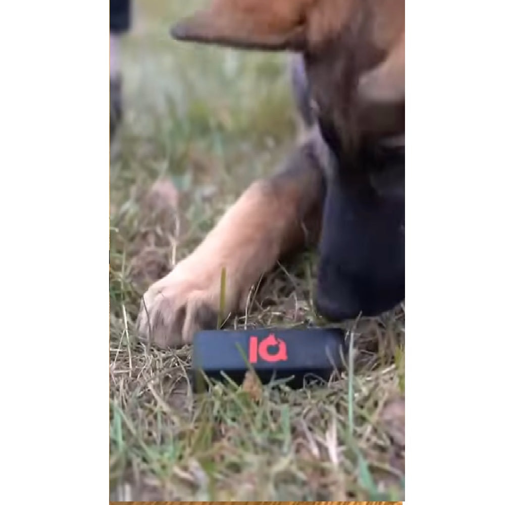 Load video: IQ Gegenstandstrainer 2.0 — Anzeigeverhalten für Fährtenarbeit | IQ Dogsport