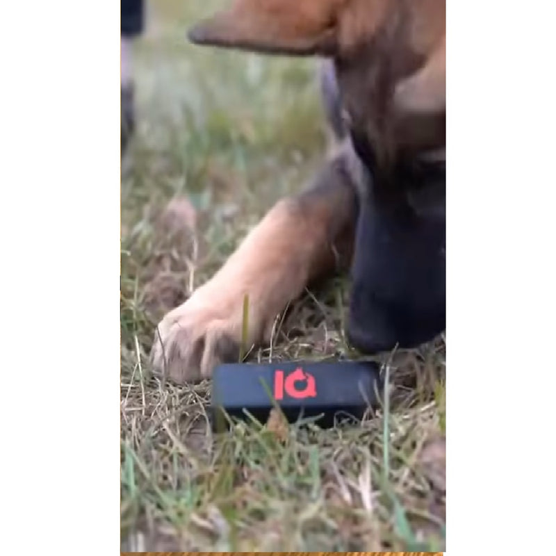 IQ Gegenstandstrainer 2.0 — Anzeigeverhalten für Fährtenarbeit | IQ Dogsport
