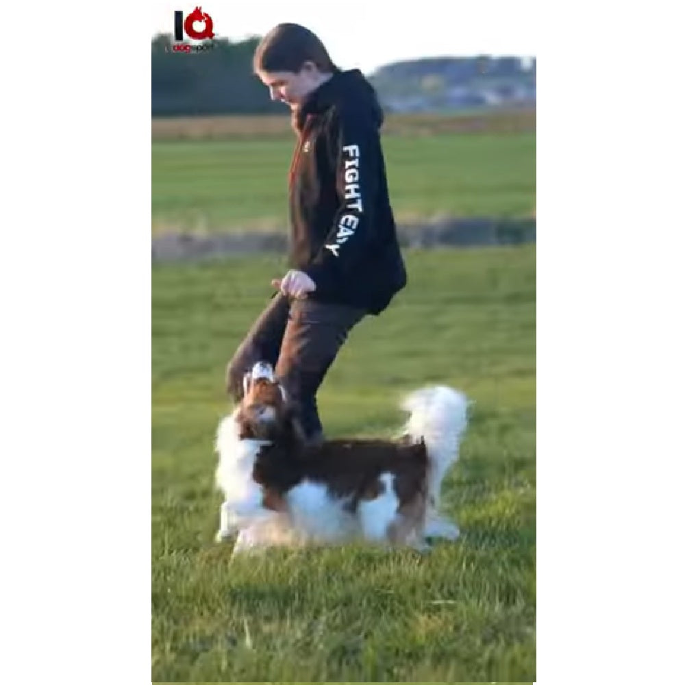 Video laden: Hoodie für Hundetraining &amp; Alltag – Train Hard – Unisex Olive