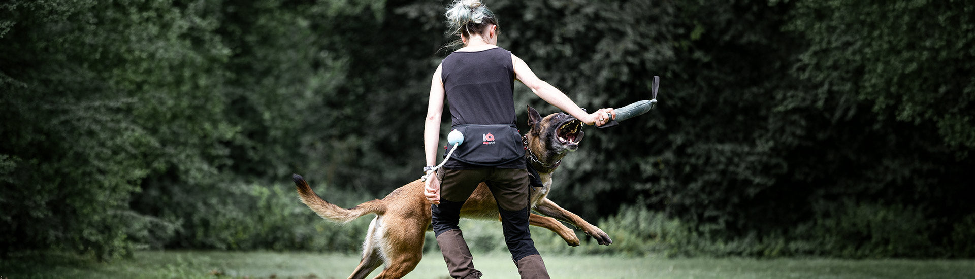 Training & Hund