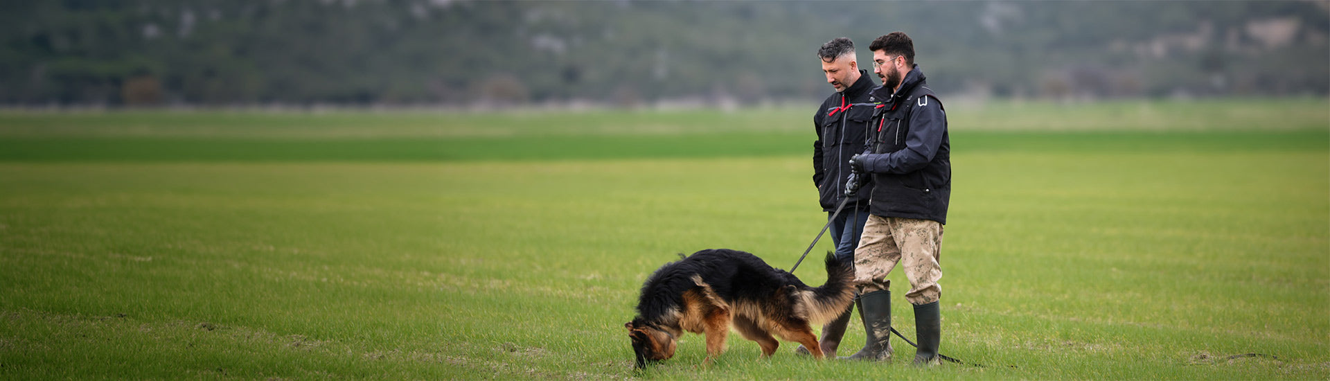 Westen Herren